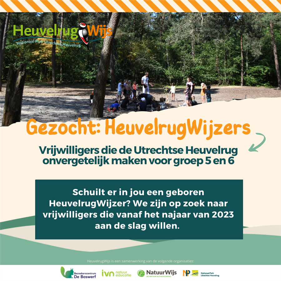 Bericht Heuvelrugwijzers maken de Utrechtse Heuvelrug onvergetelijk voor groep 5 en 6 bekijken